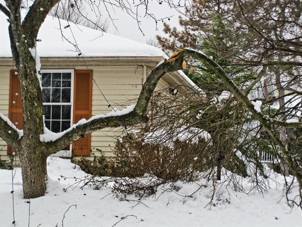 Storm Damage Property Tax Relief