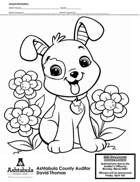 Spring Dog License Coloring Contest