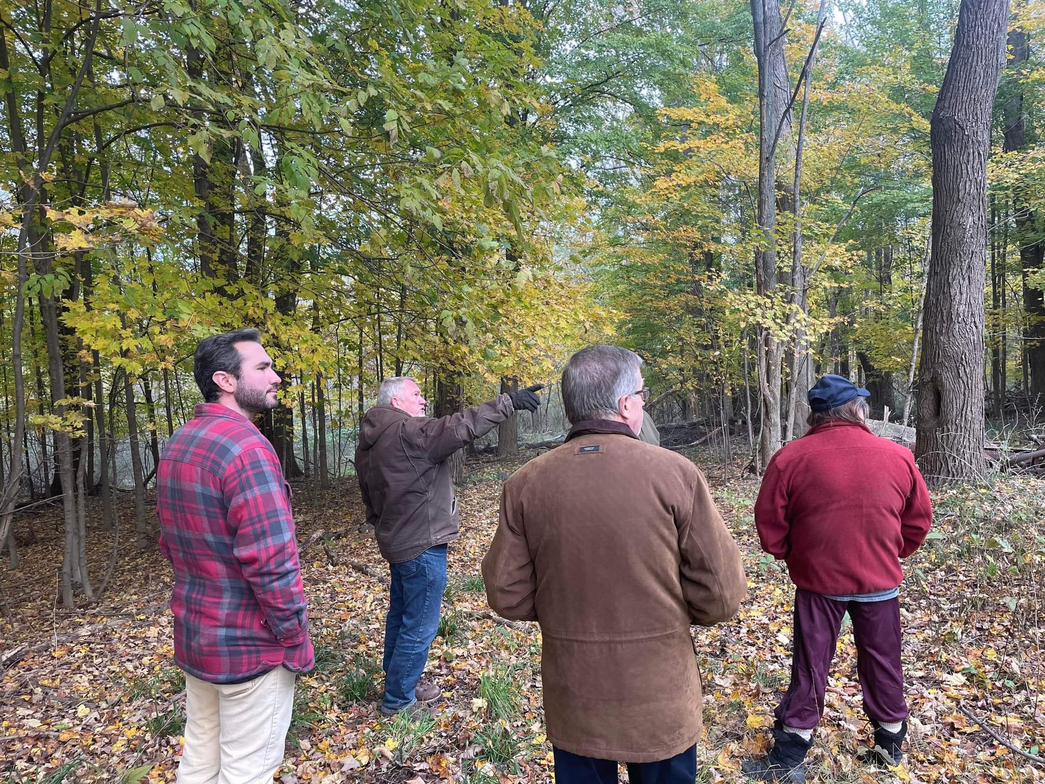 Woodland Tax Credit Information